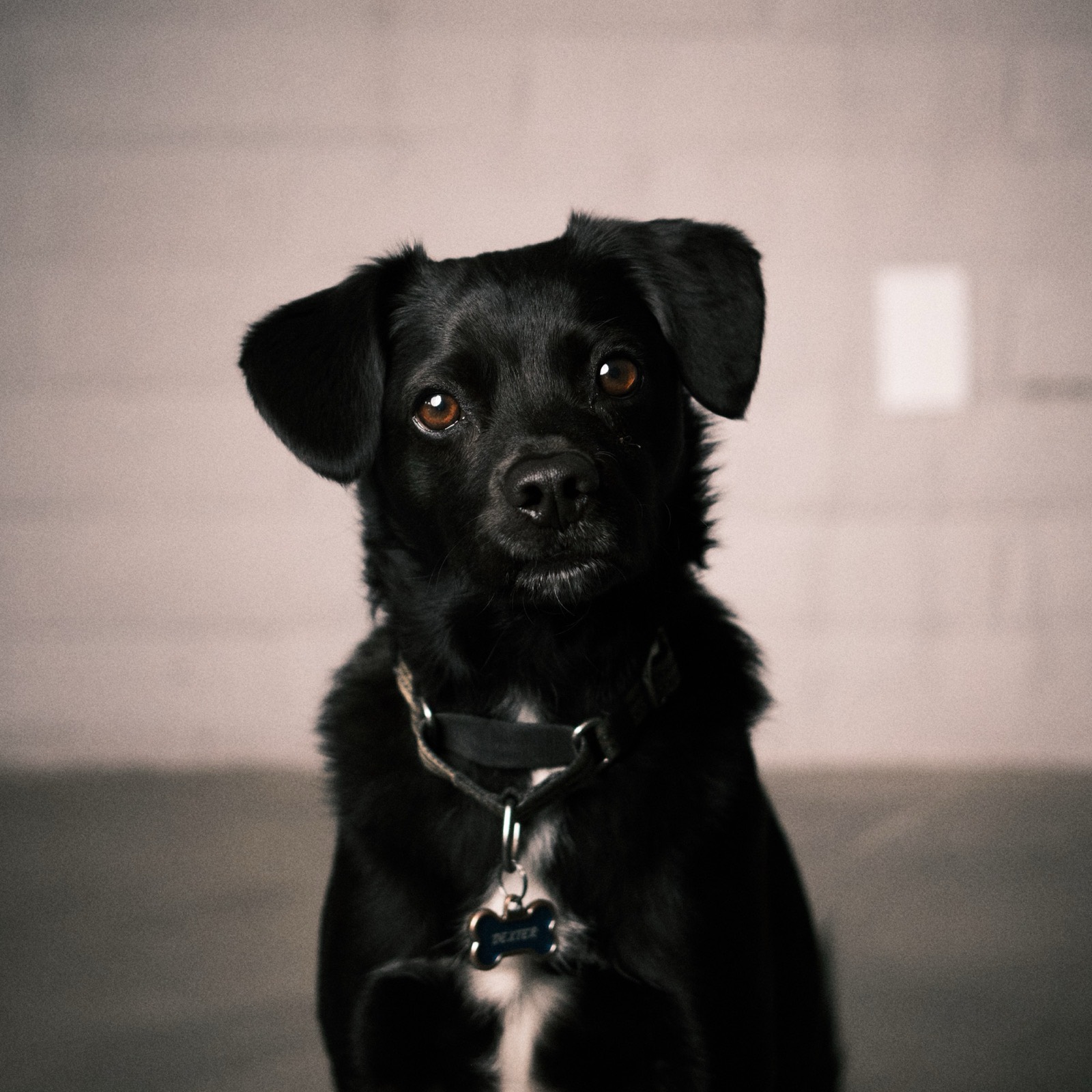 Dexter