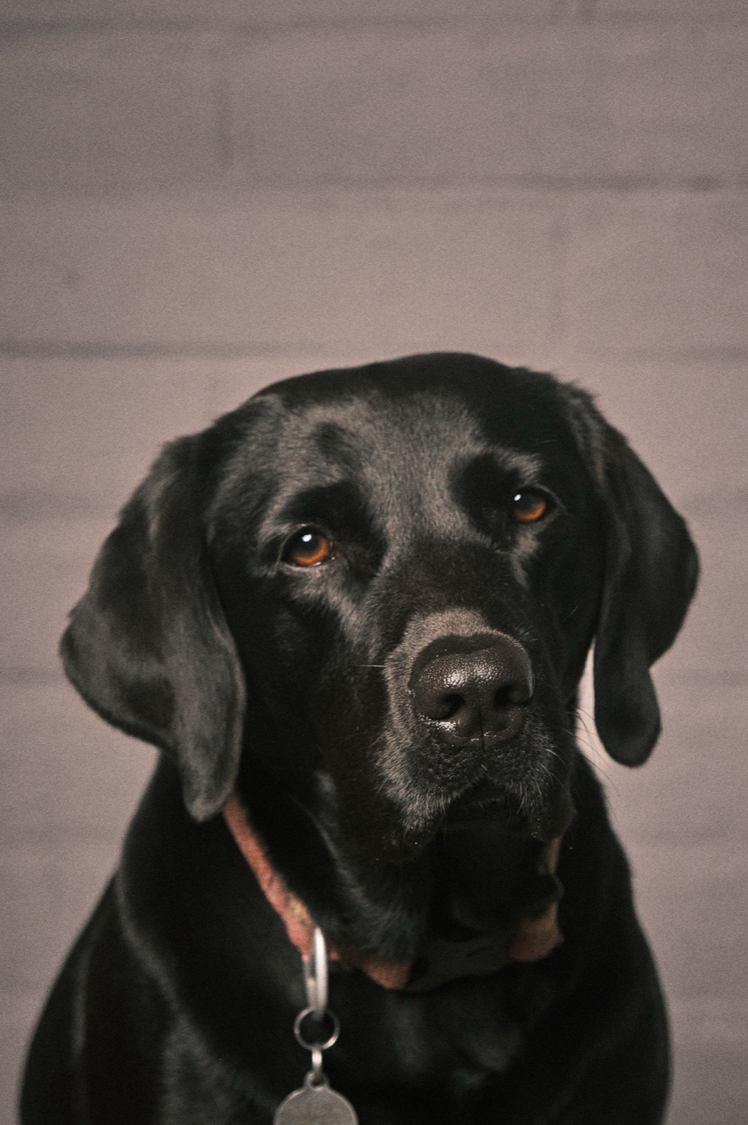 Sierra